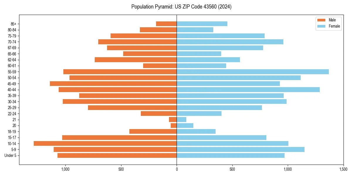 Population pyramid for 