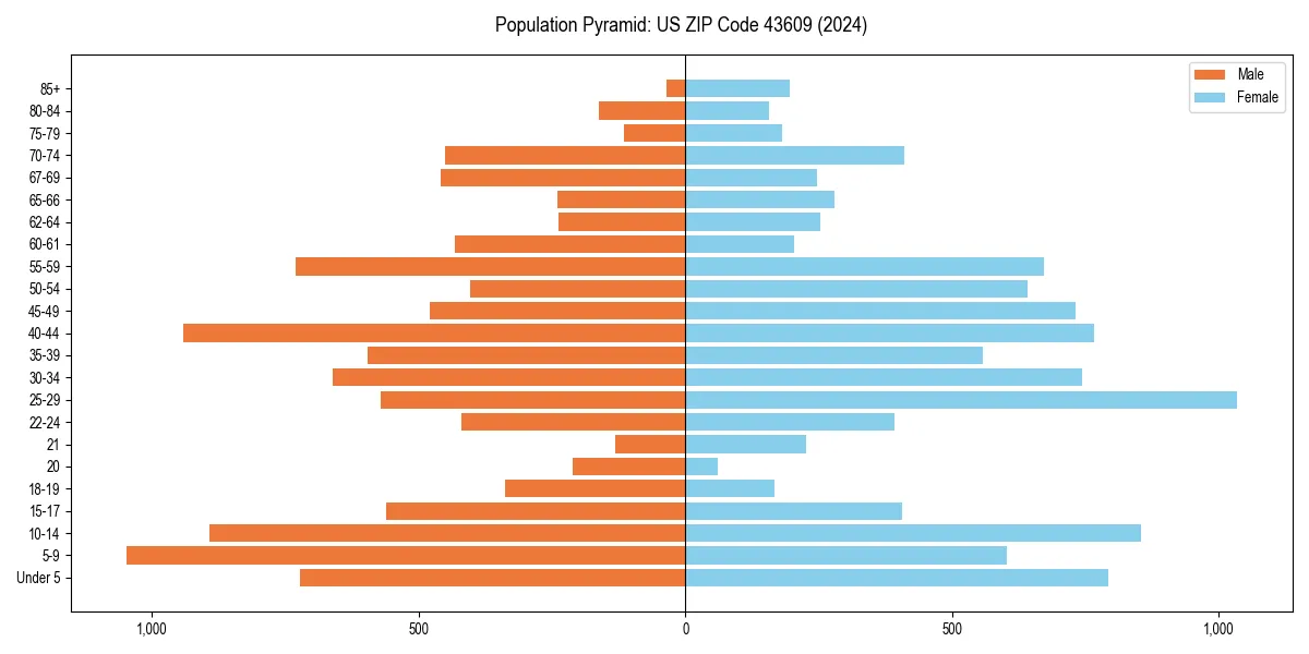 Population pyramid for 