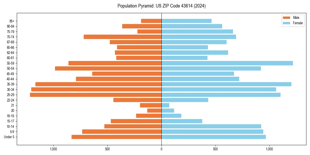 Population pyramid for 