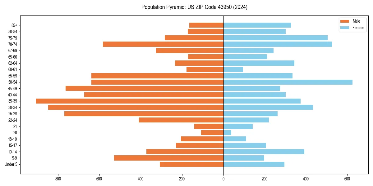Population pyramid for 