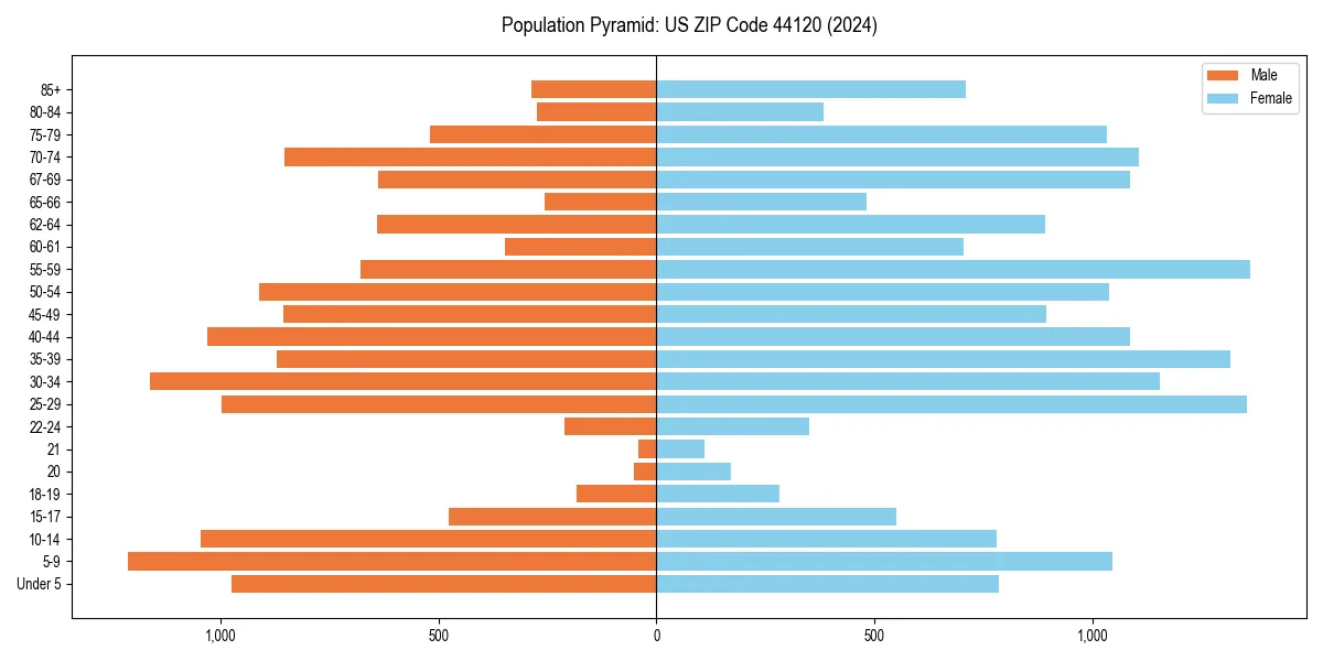 Population pyramid for 