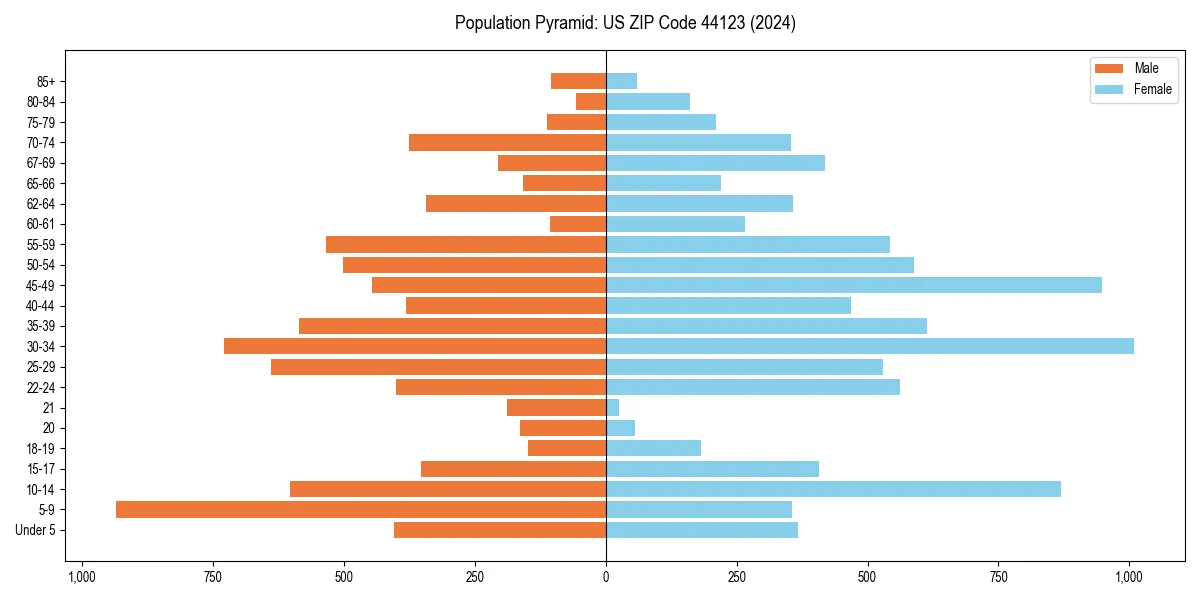 Population pyramid for 