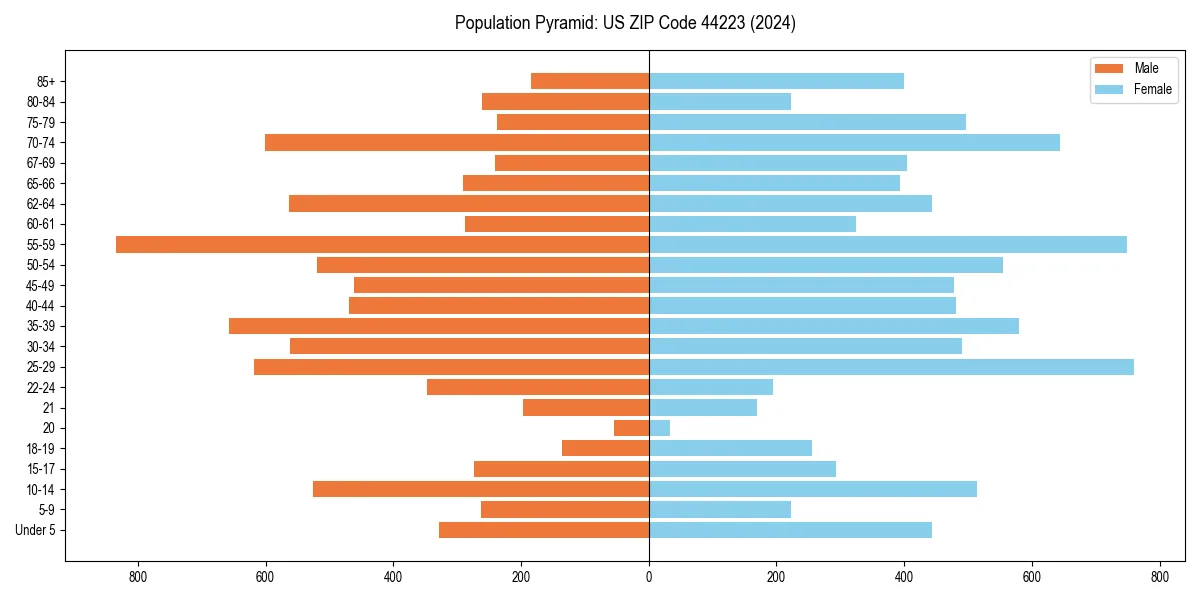 Population pyramid for 