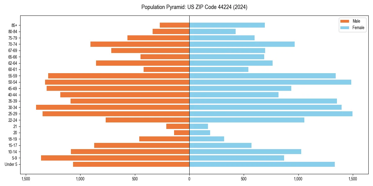 Population pyramid for 