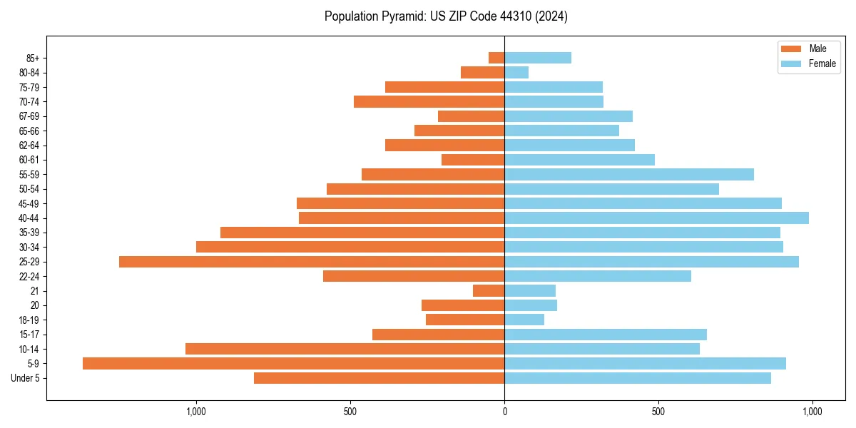 Population pyramid for 