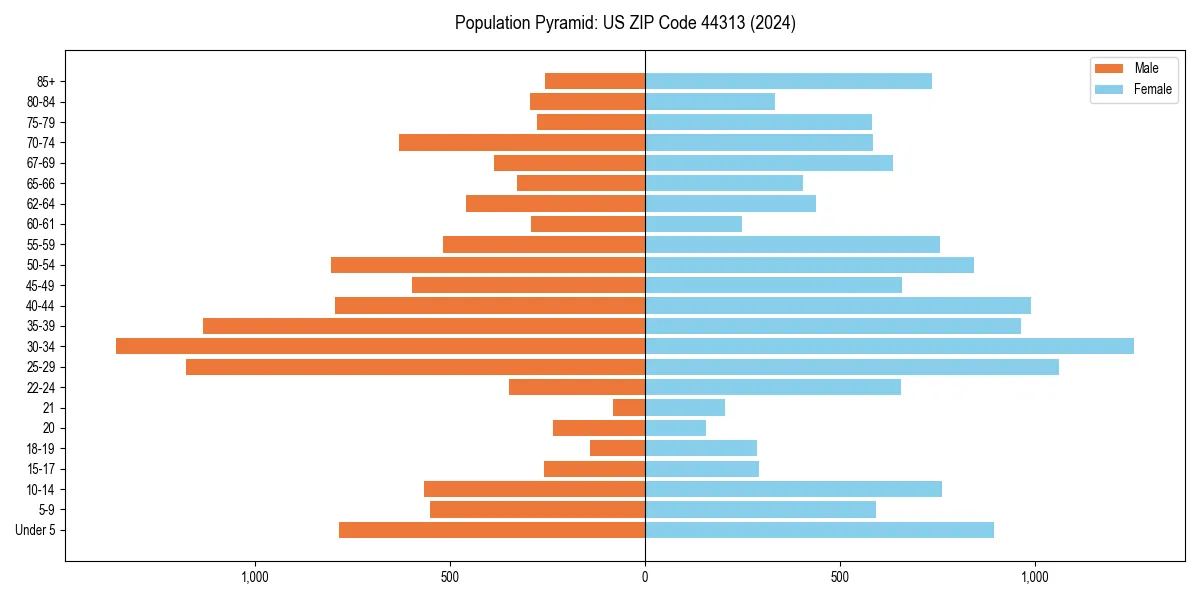 Population pyramid for 