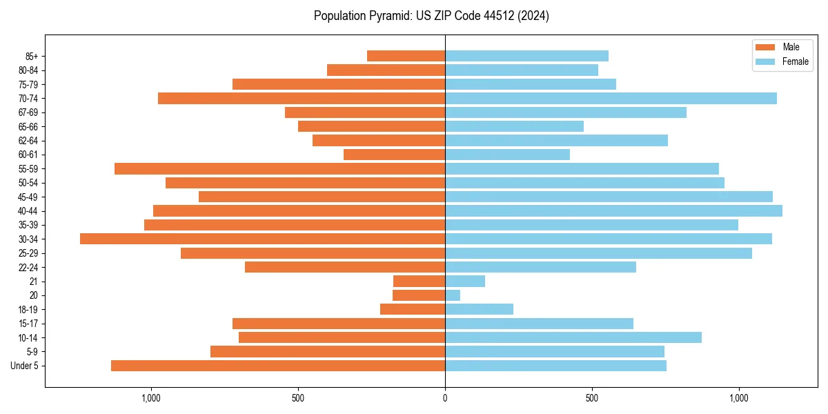 Population pyramid for 
