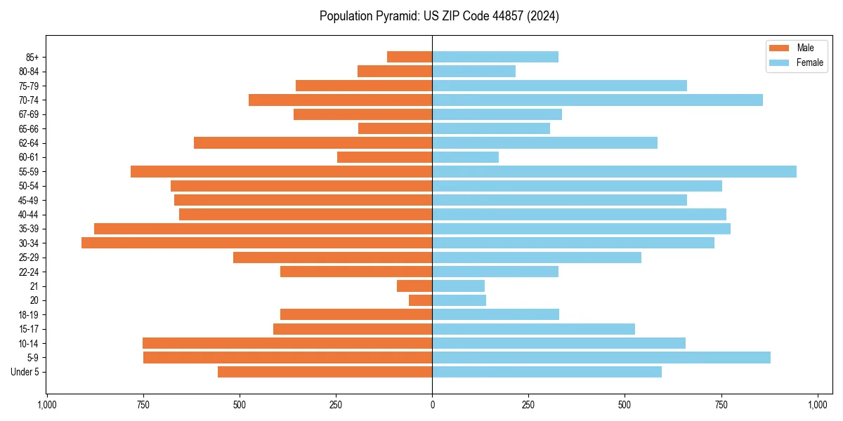 Population pyramid for 