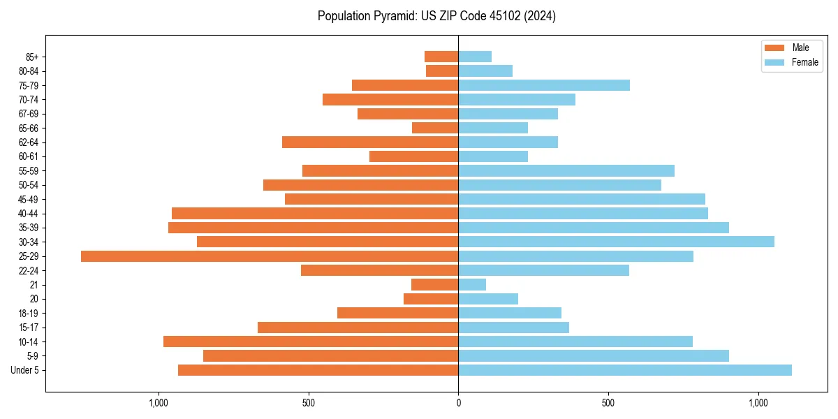 Population pyramid for 