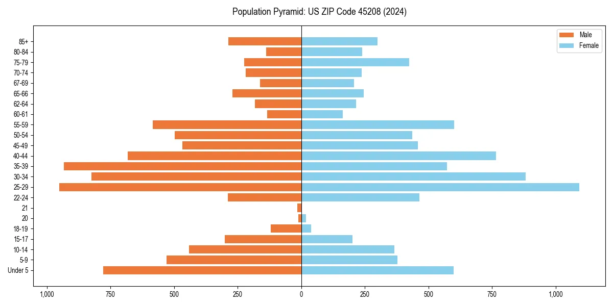 Population pyramid for 