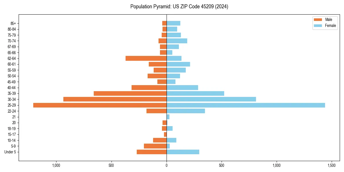 Population pyramid for 