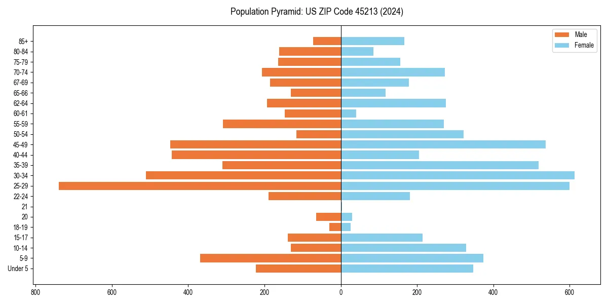 Population pyramid for 