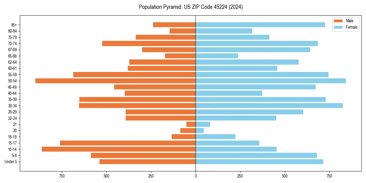 Population pyramid for 