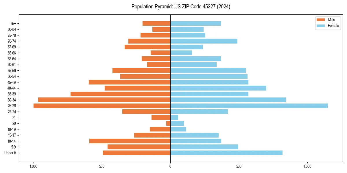 Population pyramid for 