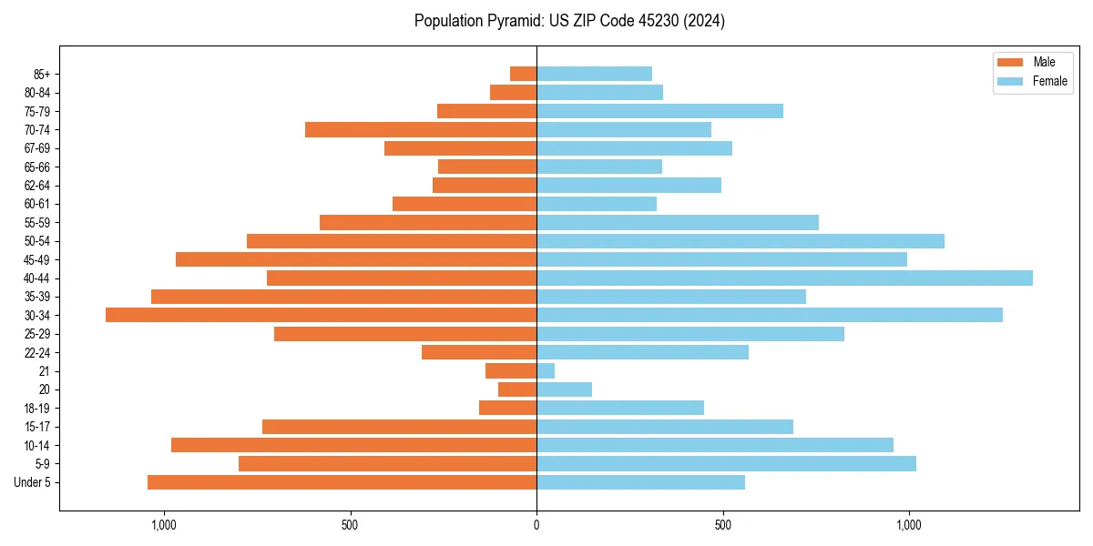 Population pyramid for 