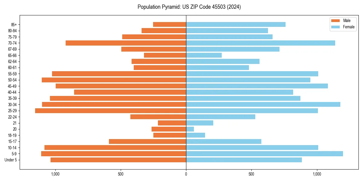 Population pyramid for 