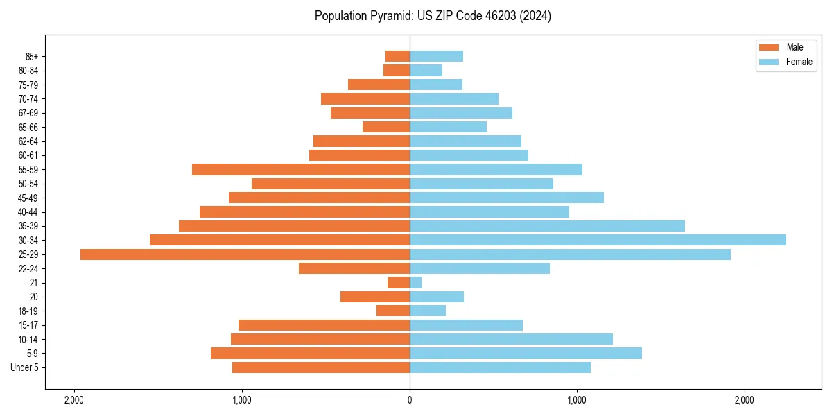 Population pyramid for 