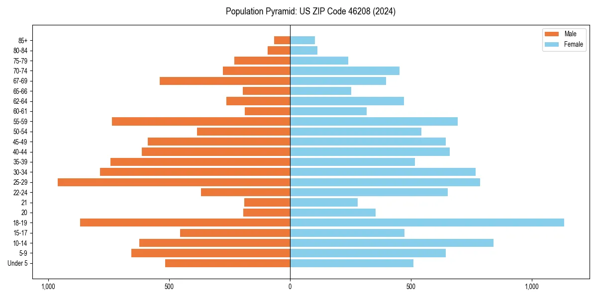Population pyramid for 