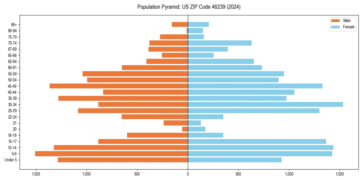 Population pyramid for 