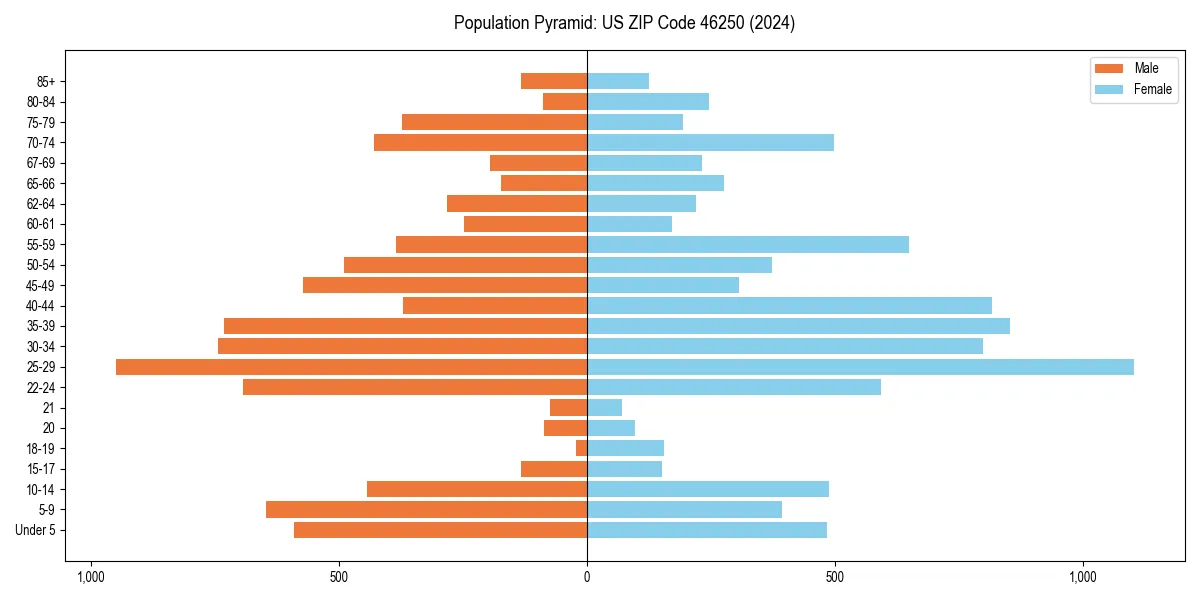 Population pyramid for 