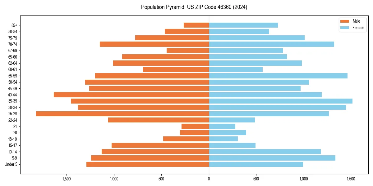 Population pyramid for 