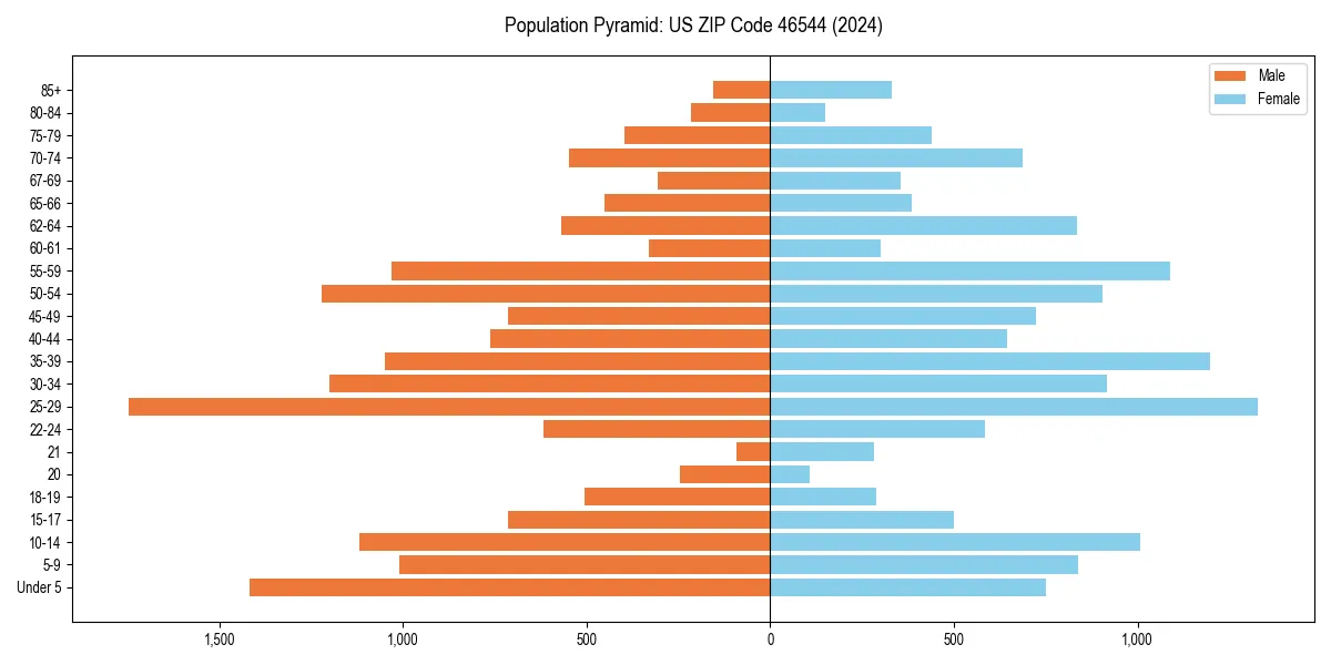 Population pyramid for 