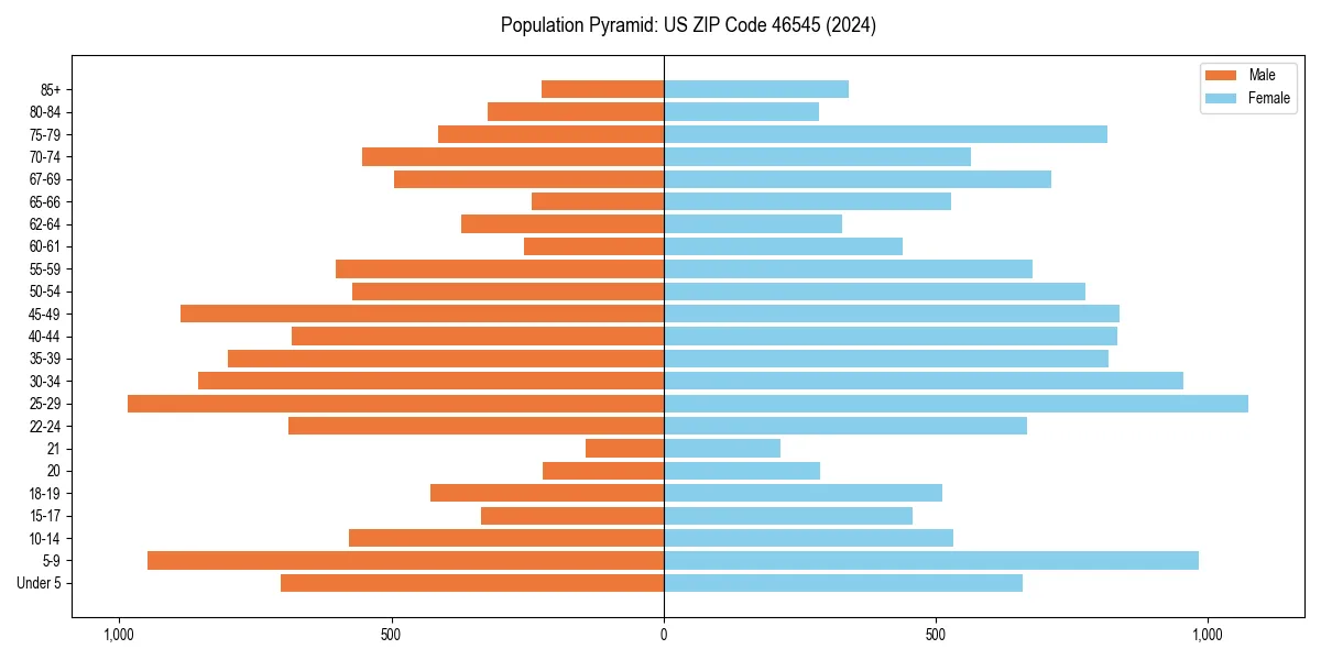 Population pyramid for 