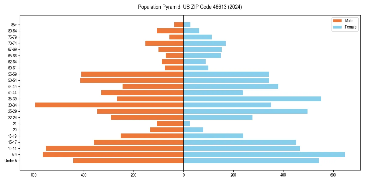 Population pyramid for 