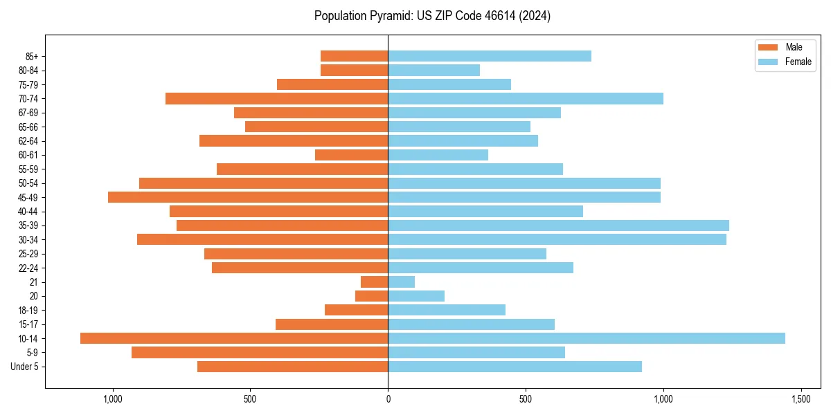 Population pyramid for 
