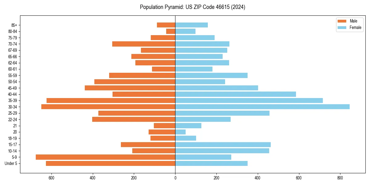 Population pyramid for 