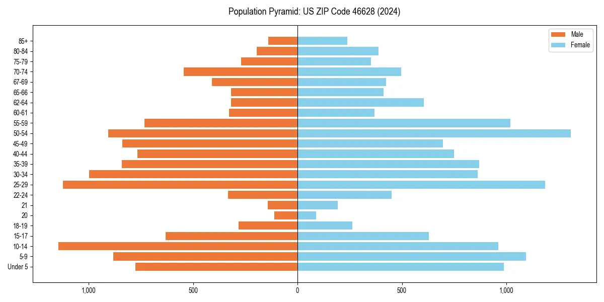 Population pyramid for 