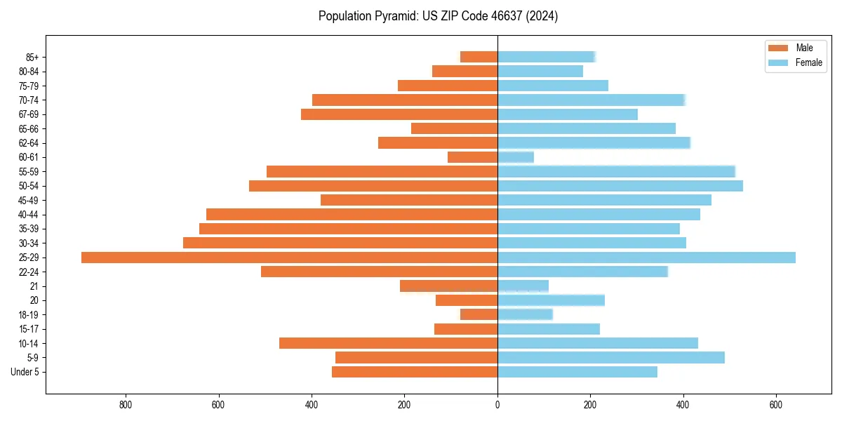 Population pyramid for 