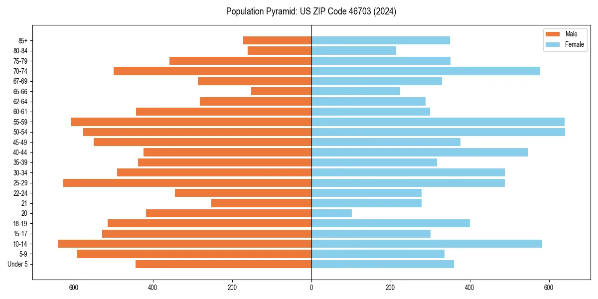 Population pyramid for 