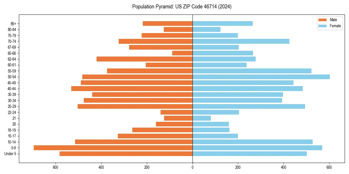 Population pyramid for 