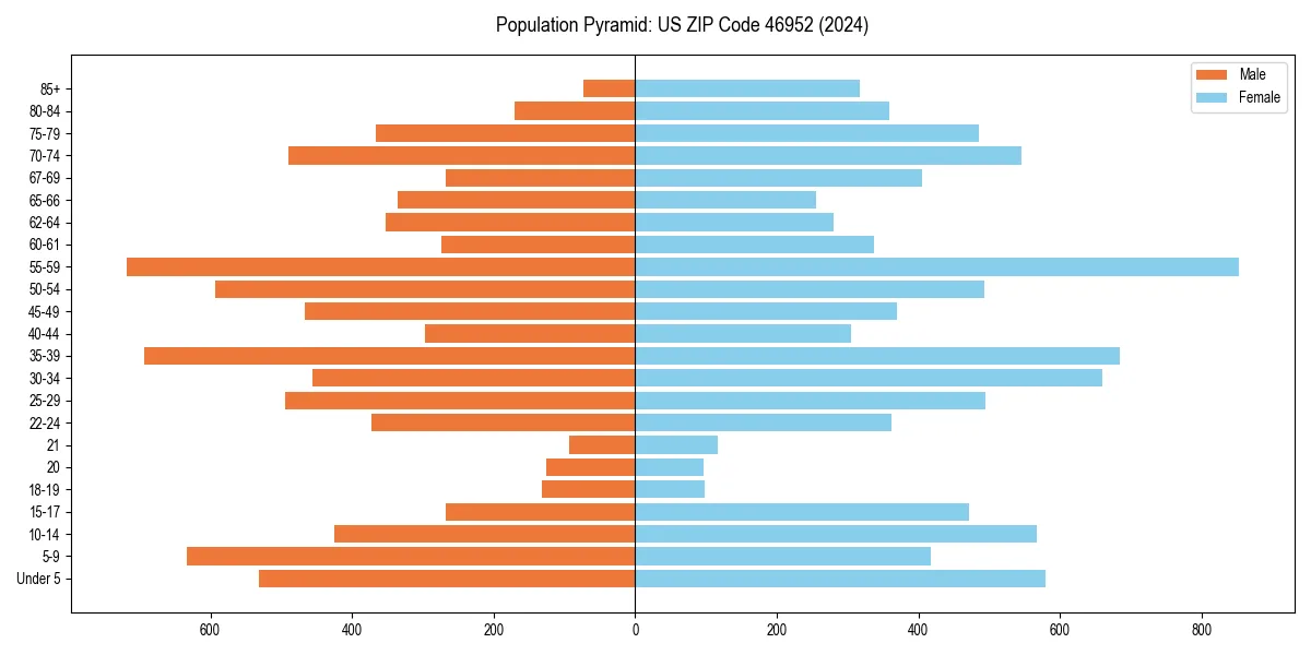 Population pyramid for 