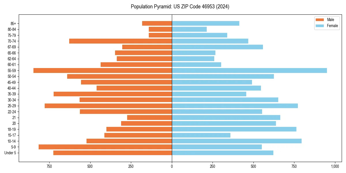 Population pyramid for 