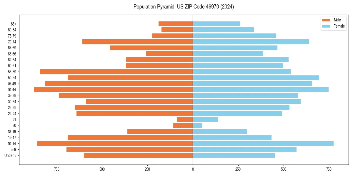 Population pyramid for 