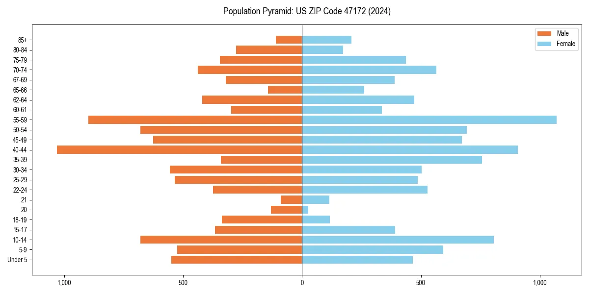 Population pyramid for 