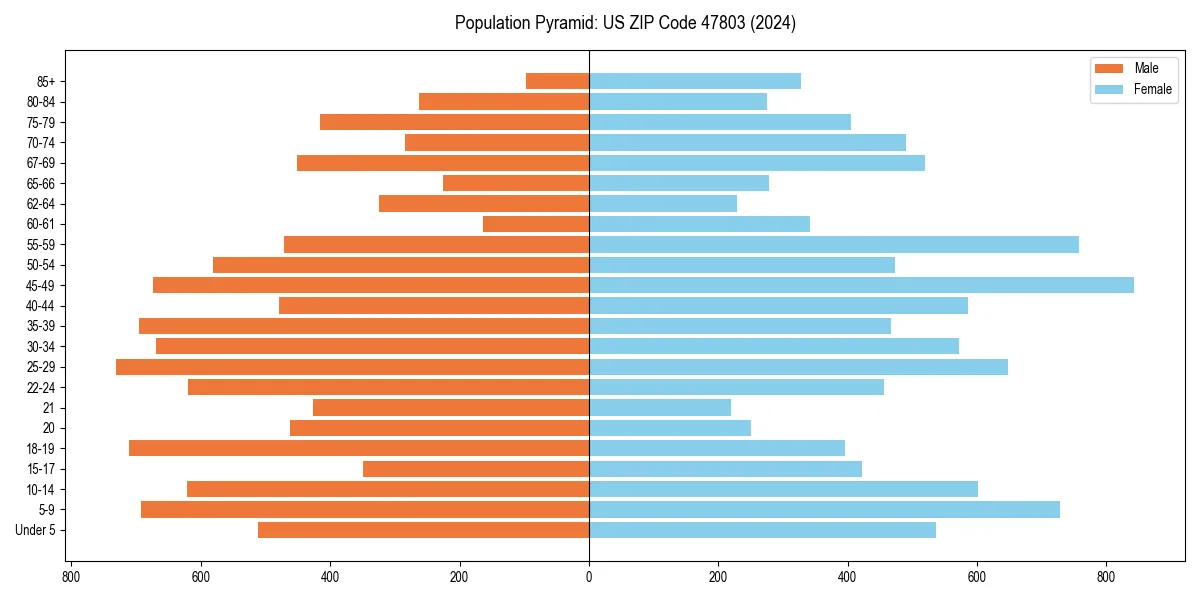 Population pyramid for 