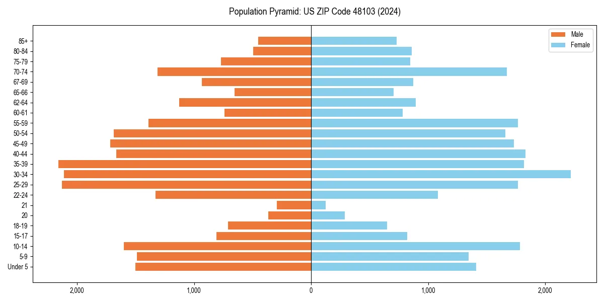 Population pyramid for 