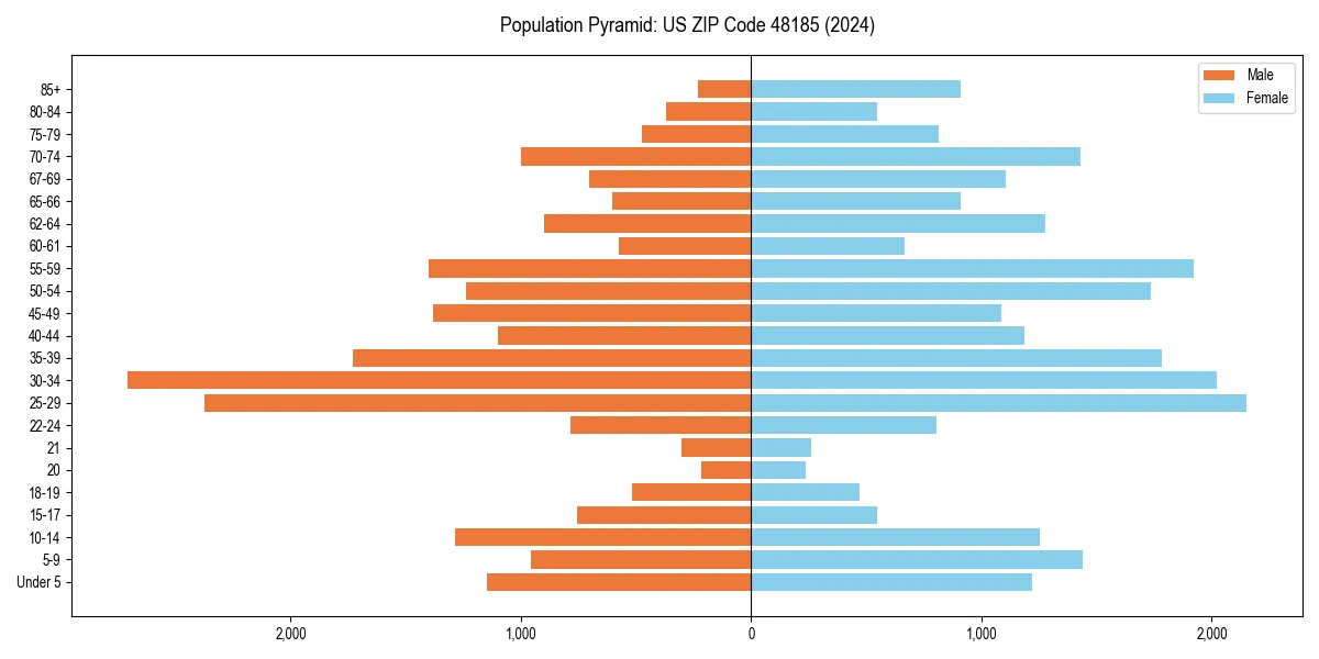 Population pyramid for 