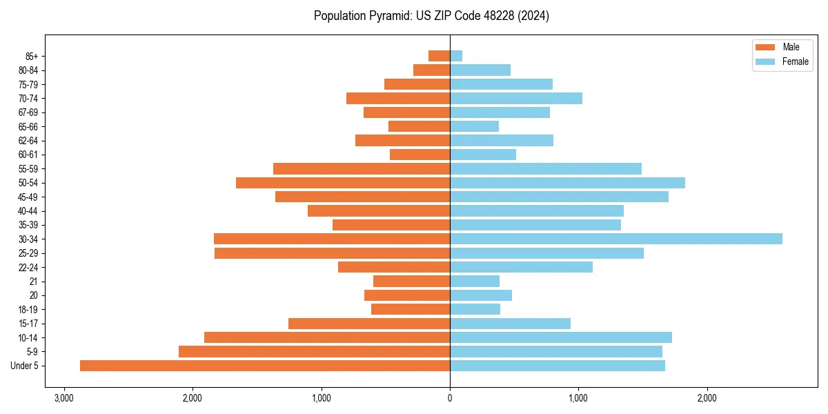 Population pyramid for 