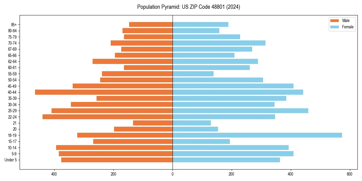 Population pyramid for 