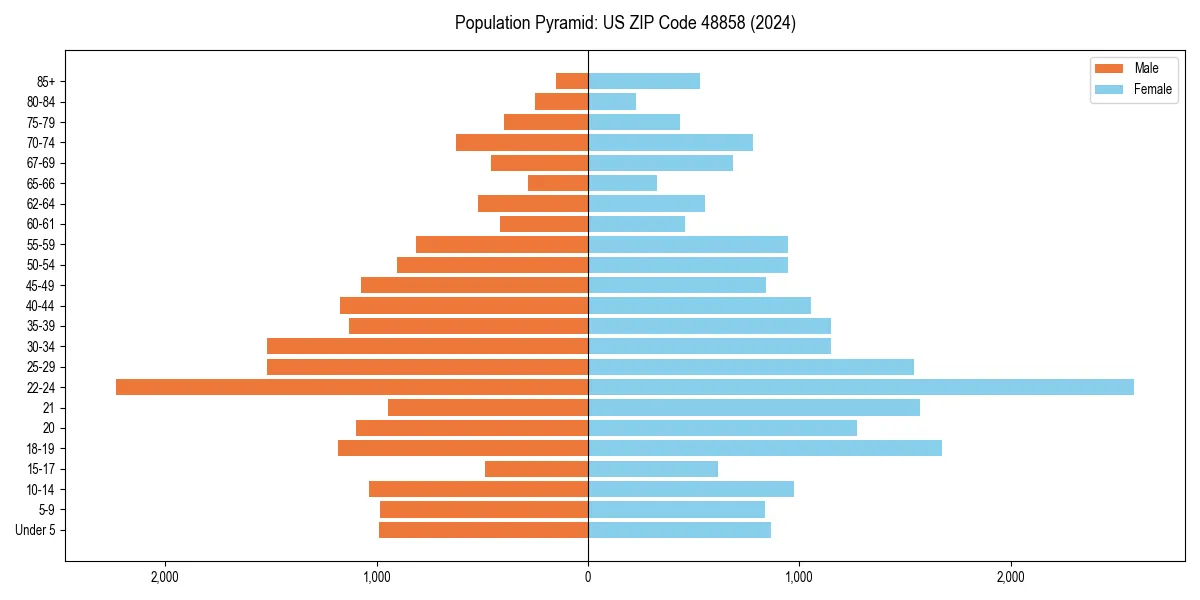 Population pyramid for 
