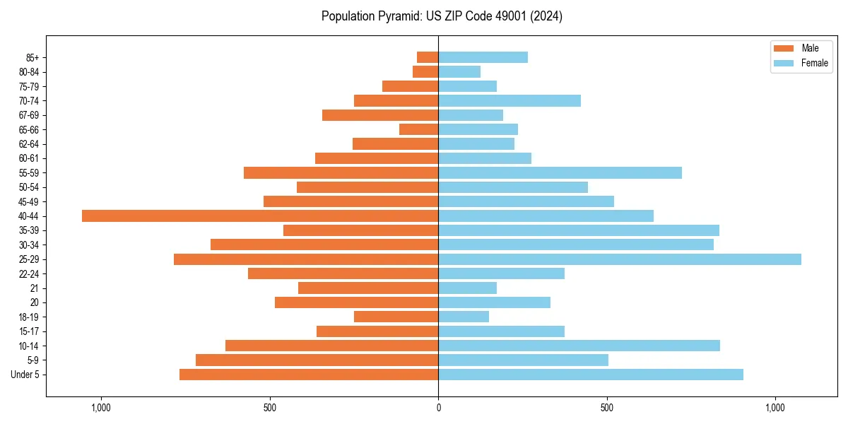 Population pyramid for 
