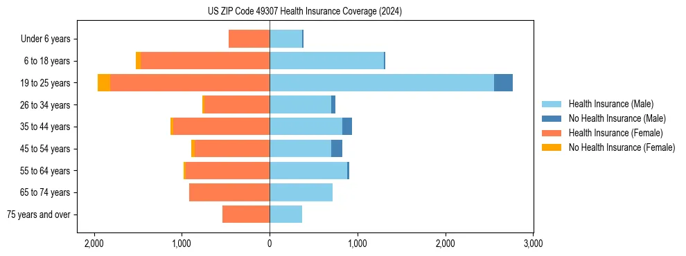 Health insurance pyramid for US ZIP Code 49307