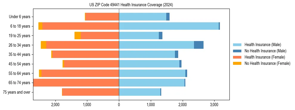 Health insurance pyramid for US ZIP Code 49441