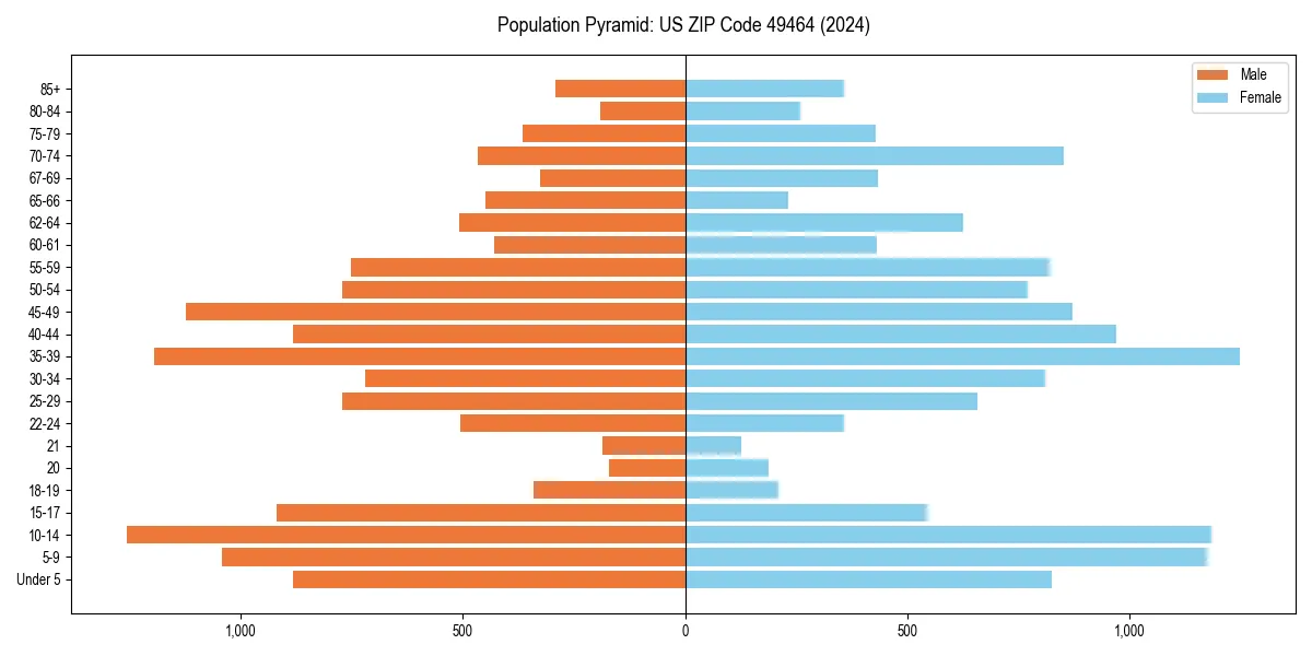 Population pyramid for