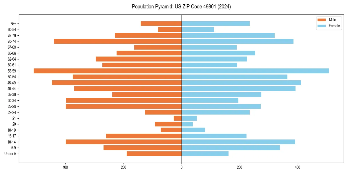 Population pyramid for 