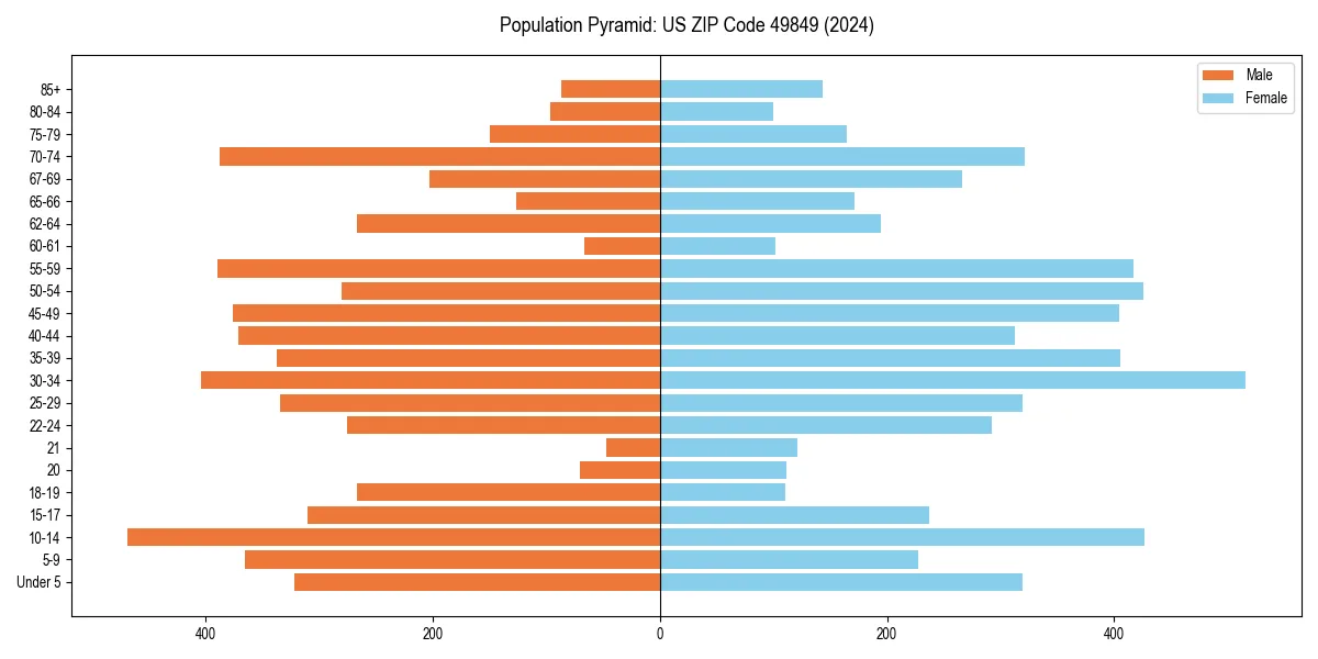 Population pyramid for 